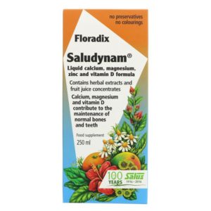 Floradix Saludynam Calcium/Magnesium/Zn