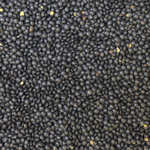 Organic Beluga Lentils (black) 500 g