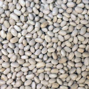 Organic Haricot Beans 500 g