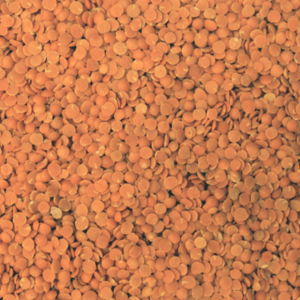 Organic Red Split Lentils 500 g