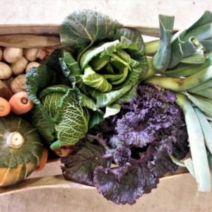 Small Veggie Box