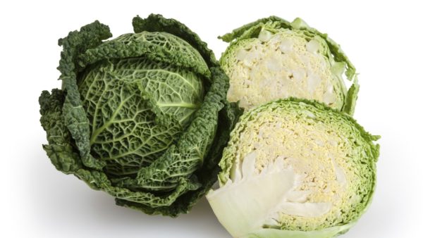 Savoy / pointy Cabbage each