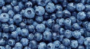Blueberry punnet