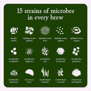 Microbz Sustain digestive health