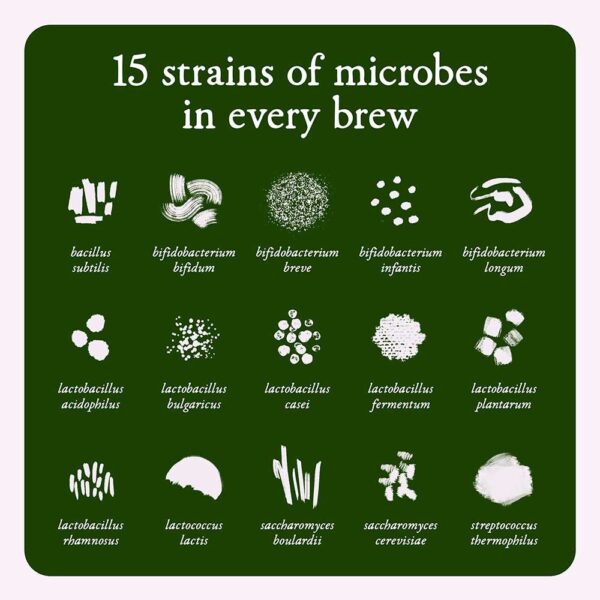 Microbz Sustain digestive health - Image 2