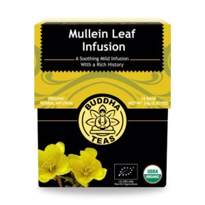 Organic Mullein Leaf Tea